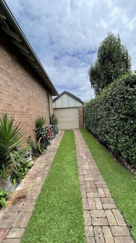 Courtland-Haberfield-6742.jpg