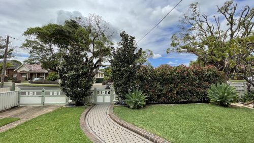 Courtland-Haberfield-6744.jpg