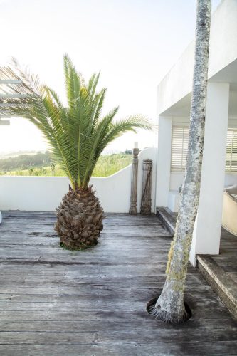 Cyprus-House-Byron-Bay-37.jpg