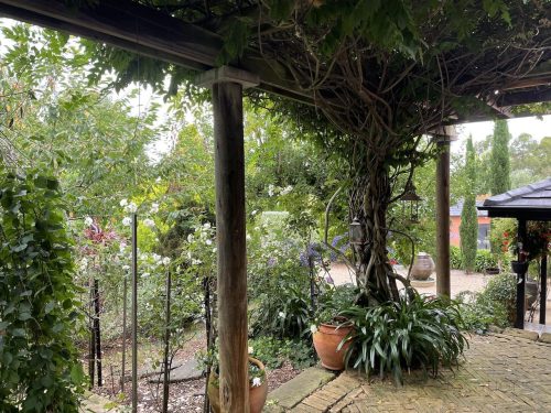 garden established