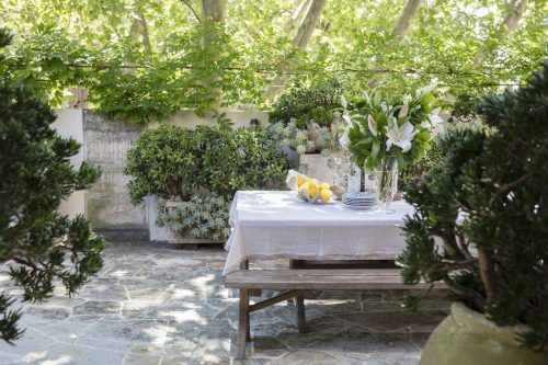 outdoor area backyard