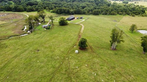 Della-Farm-Myocum-068E999D-A811-4881-AE98-98B97FC32220.jpeg