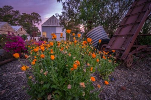 Drovers-Run-Little-Hampton_5.jpg