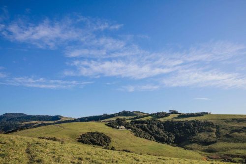 Eden-Gerringong-08.jpeg