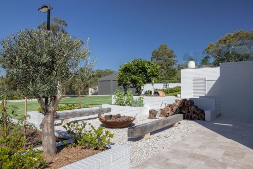 backyard garden established