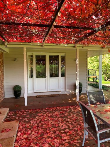 Farm-View-Bethanga-Autumn.jpeg