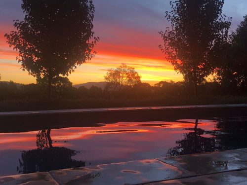 Farm-View-Bethanga-Pool-Sunset.jpeg