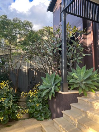Florian-House-Bellevue-Hill_028333.jpg