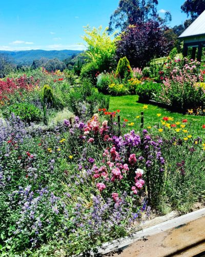 Flowerfield-Cottage-Hartley-11.jpg