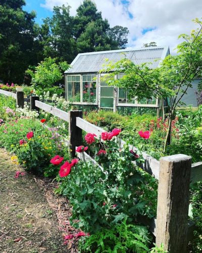 Flowerfield-Cottage-Hartley-15.jpg