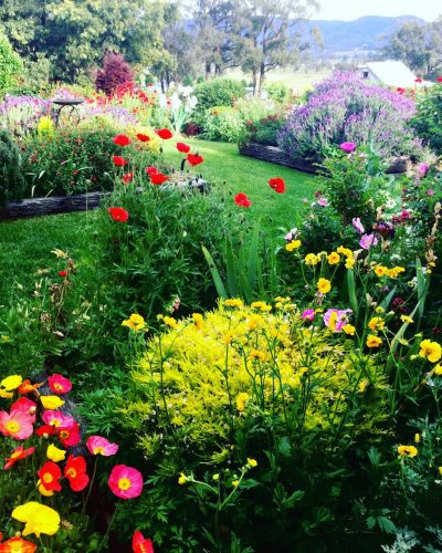 Flowerfield-Cottage-Hartley-17.jpg