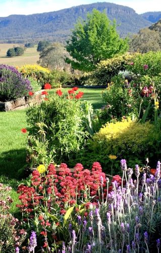 Flowerfield-Cottage-Hartley-8.jpg