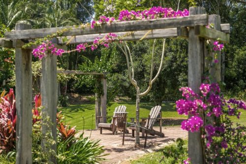 GARDEN-Bouganvillea_preview-1024x683-1.jpg