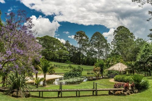 garden established