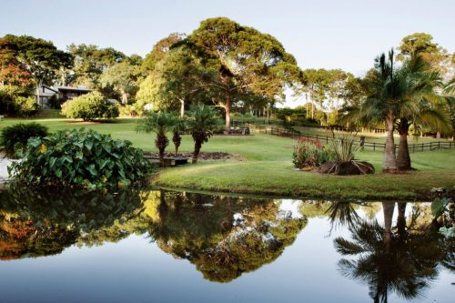 garden established