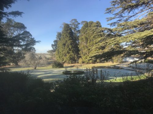 garden established