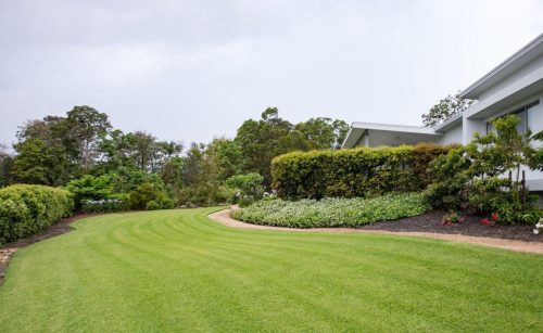 Garden-Botanica_12_4122.jpeg