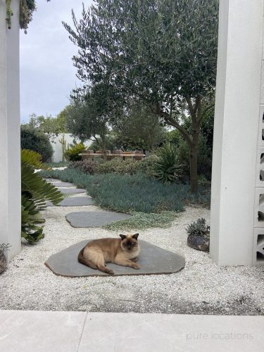Garden-Escape-Miami10.jpeg
