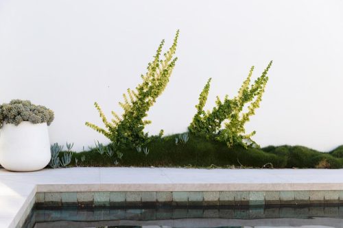 Garden-Escape-Miami3.jpeg