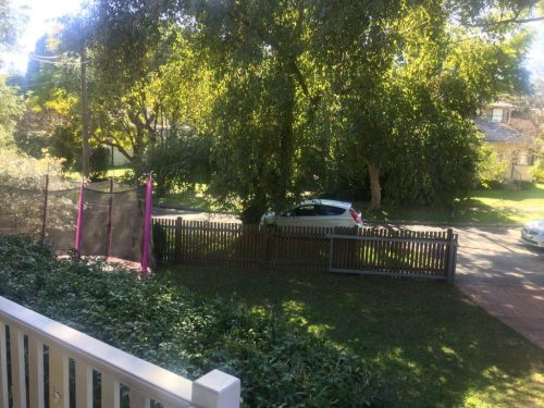 backyard