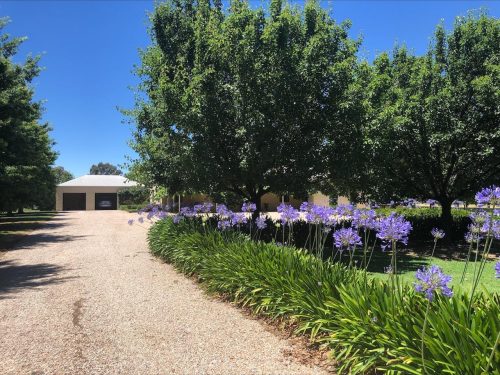 Grove-Estate-Benalla32.jpeg