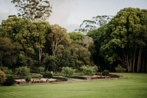garden established