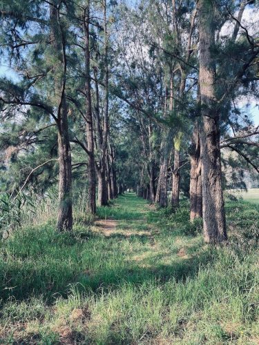 Hawkesbury-Farm-Leets-Vale_mlH0Fewr.jpg