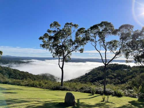 High-View-Yarramulong-4281.jpeg