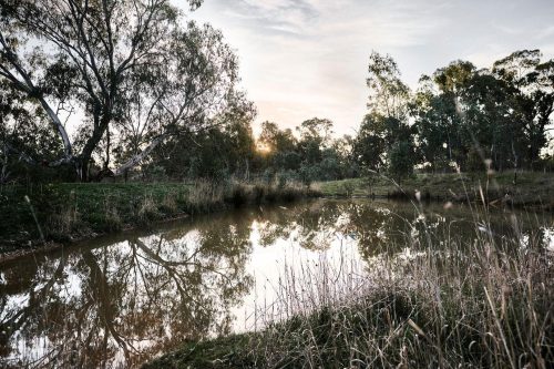Hilltop-Heathcote-06.jpeg