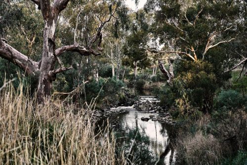 Hilltop-Heathcote-11.jpeg