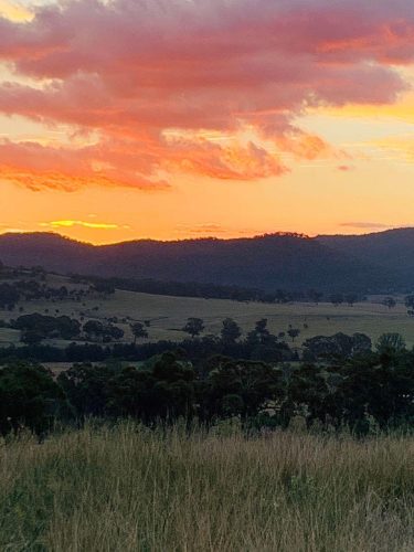 Hunter-Valley-Homestead-Martindale-5.jpeg