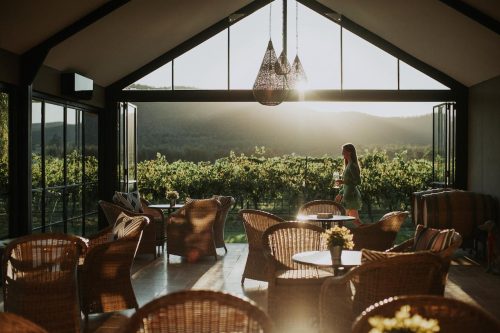 Hunter-Vineyard-Hunter-Valley_1A.jpg