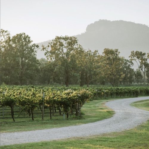 Hunter-Vineyard-Hunter-Valley_1W.jpeg