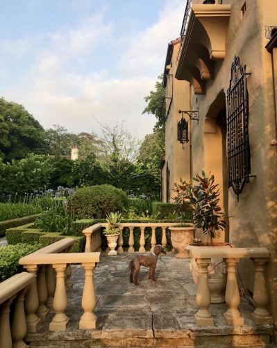 Enchanted, Wahroonga
