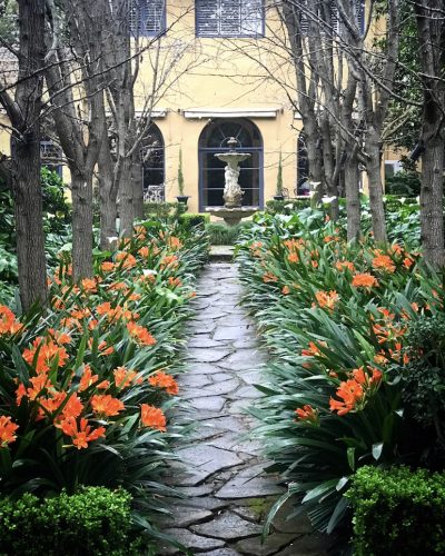 Enchanted, Wahroonga