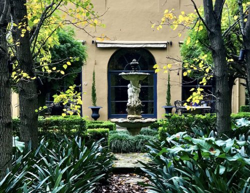 Enchanted, Wahroonga