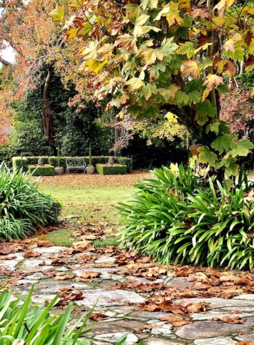 Enchanted, Wahroonga