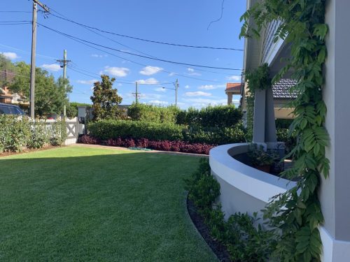 Bluebell House, Gladesville