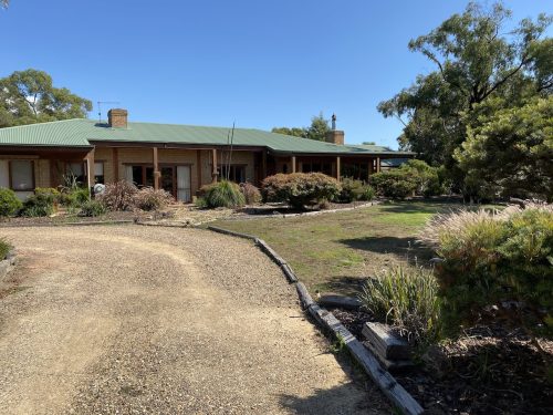 driveway backyard
