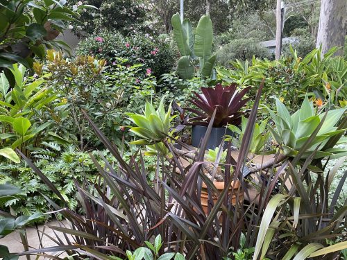 garden