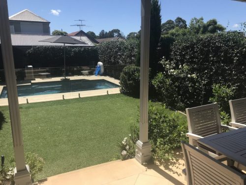 backyard