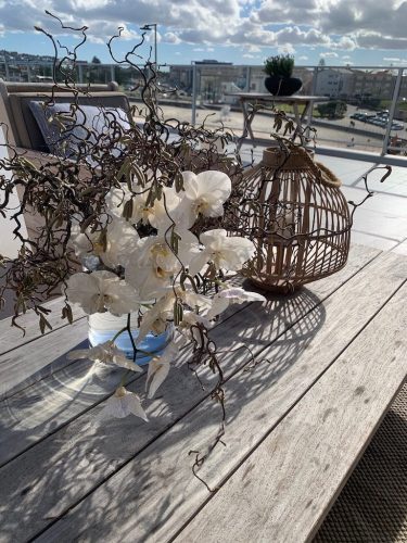 The Sands Apartment, Bondi