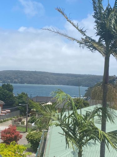 Indio-House-Caringbah-South-11.jpeg