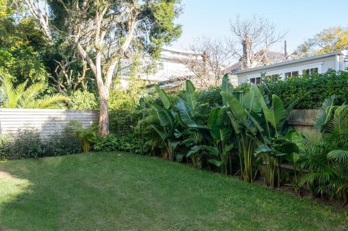 backyard pool garden established