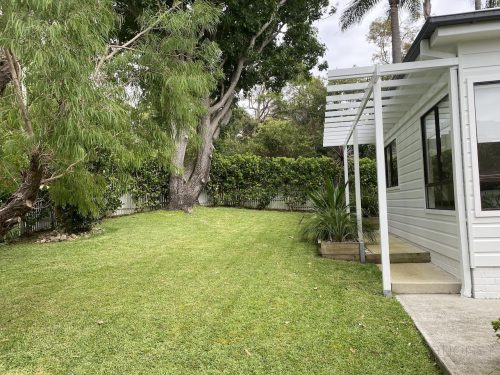 backyard