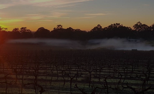 La-Vina-Winery.18-am.png