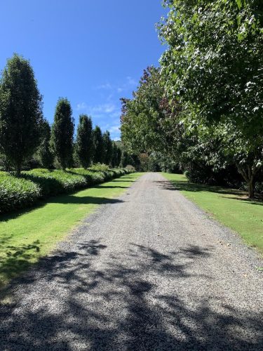 driveway