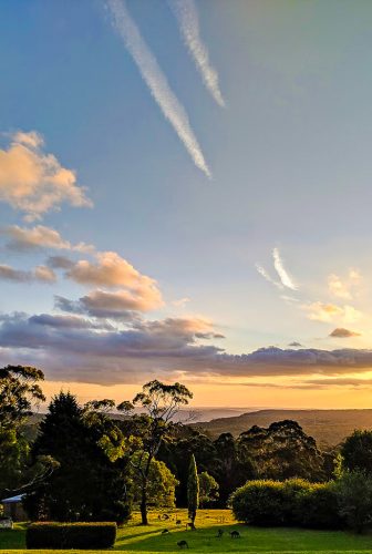 Lawrance-kangaroos-in-foreground.jpg