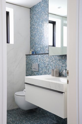 Libelle-Northbridge88.jpg