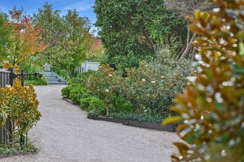 gardens established backyard